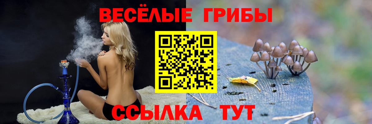 Ижевск  купить наркотики сайты  Псилоцибиновые грибы MAGIC MUSHROOMS  Вход с VPN  Галлюциногенные грибы Magic Shrooms 
